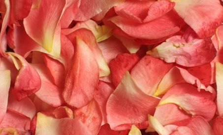 香氛精油是什么？ - 浙江阪慕大香精香料科技有限公司